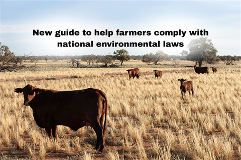 EPBC Act.png